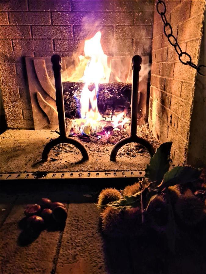 Incantevole Casa Sul Fiume, Relax E Natura Ai Piedi Della Alpi Apuane 마사 외부 사진